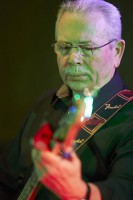 /album/optreden-valkenhorst-eindhoven-2013/rk-thespiders52-s-jpg/