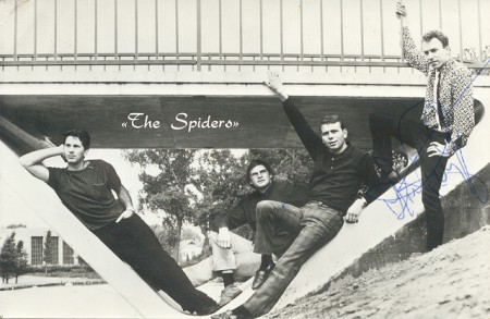 The Spiders